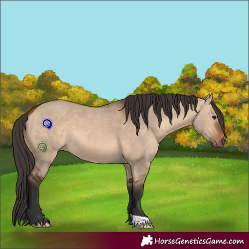 Horse Color:Bay Dun