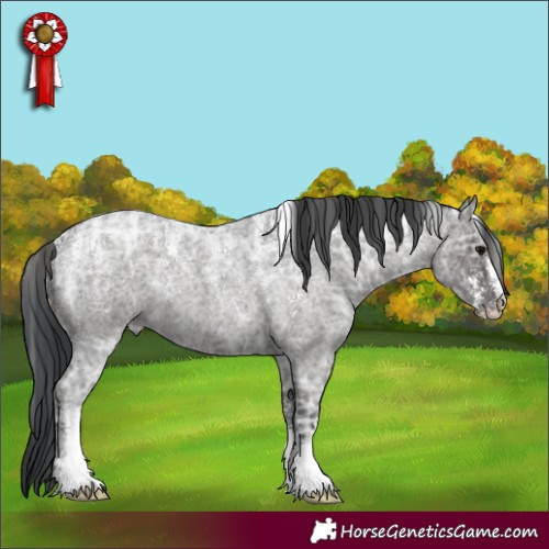 Horse Color:Powder White Blue Ice Roan 