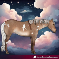 Horse Color:White Spotted Silver Bay Dun Sabino Rabicano 
