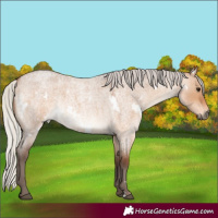 Horse Color:White Spotted Silver Brown Roan Dun Rabicano 