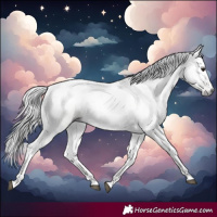 Horse Color:Gray Bay Dun Splash Frame 