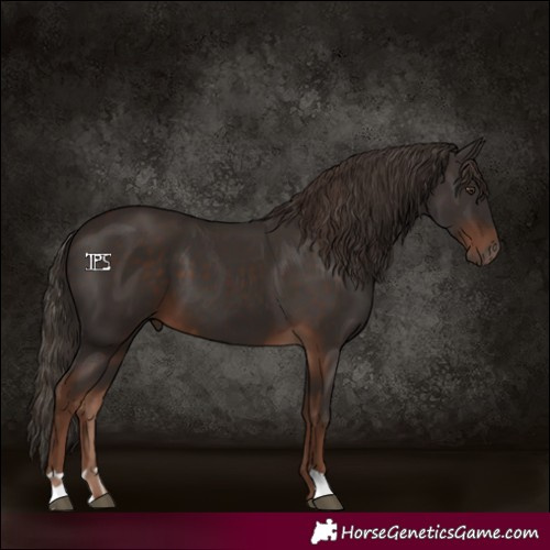 Horse Color:Liver Chestnut  and Liver Chestnut 