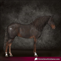 Horse Color:Liver Chestnut  and Liver Chestnut 
