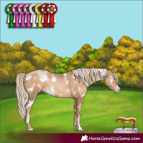 Horse Color:White Spotted Chocolate Palomino Pearl 