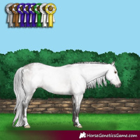 Horse Color:Gray White Spotted Brown Roan Dun Appaloosa 