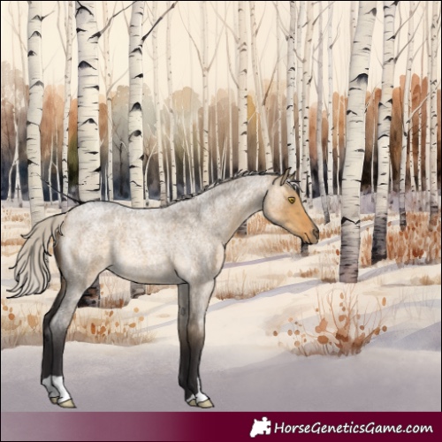 Horse Color:Silver Buckskin Roan Dun 