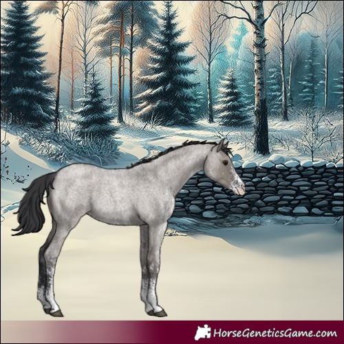Horse Color:White Spotted Grullo Roan Rabicano 