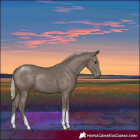 Horse Color:Silver Smoky Black Tobiano Rabicano 