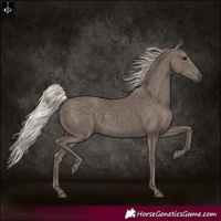 Horse Color:Silver Black