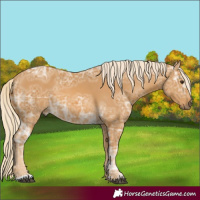 Horse Color:Palomino Ice 
