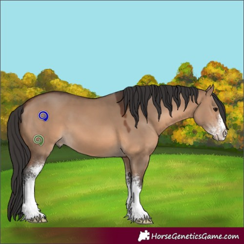 Horse Color:Brown Dun Sabino