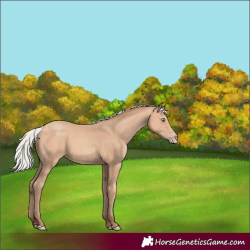 Horse Color:Silver Amber Champagne