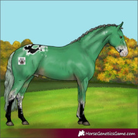 Horse Color:Watercolor Liver Chestnut Sabino Varnish 