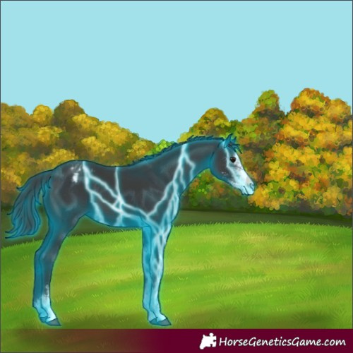 Horse Color:Thunderstruck Black Sabino Varnish 