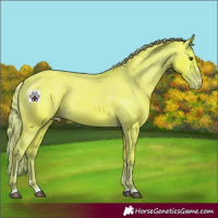 Horse Color:Watercolor Liver Chestnut Varnish 