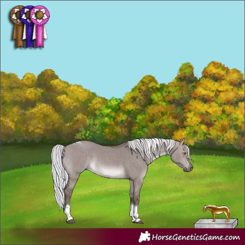 Horse Color:Platinum Silver Brown Dun Tobiano 