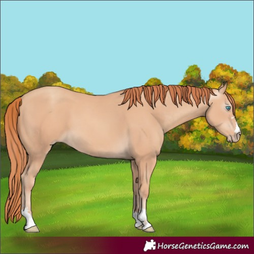 Horse Color:Gray Smoky Creme 