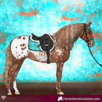 Horse Color:Chestnut Blanket Rabicano 