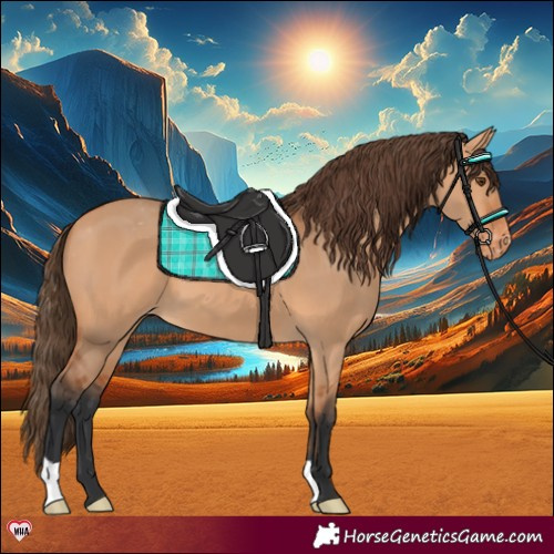 Horse Color:Bay Dun Appaloosa 