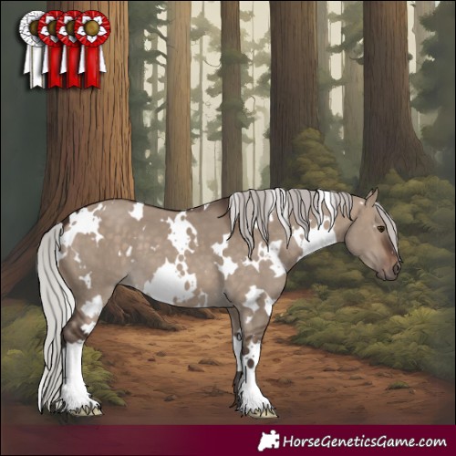 Horse Color:White Spotted Silver Brown Dun 