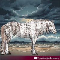 Horse Color:Liver Chestnut  and White Spotted Liver Chestnut 