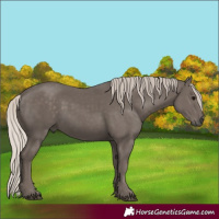 Horse Color:Silver Black 