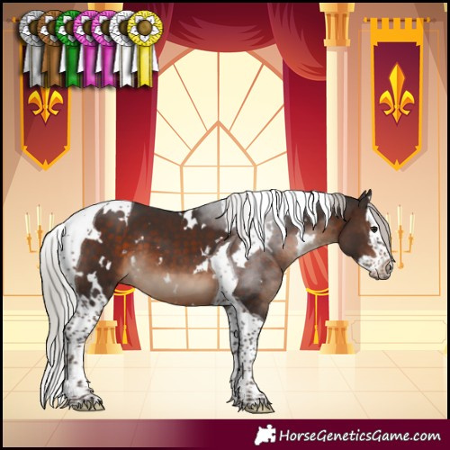 Horse Color:White Spotted Silver Brown Splash Tobiano 