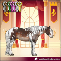 Horse Color:White Spotted Silver Brown Splash Tobiano