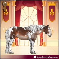 Horse Color:White Spotted Silver Brown Splash Tobiano 