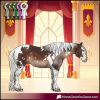 Horse Color:White Spotted Silver Brown Splash Tobiano 