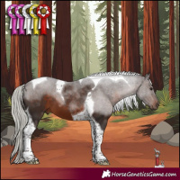 Horse Color:Silver Brown Tobiano 