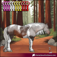 Horse Color:Silver Brown Tobiano 