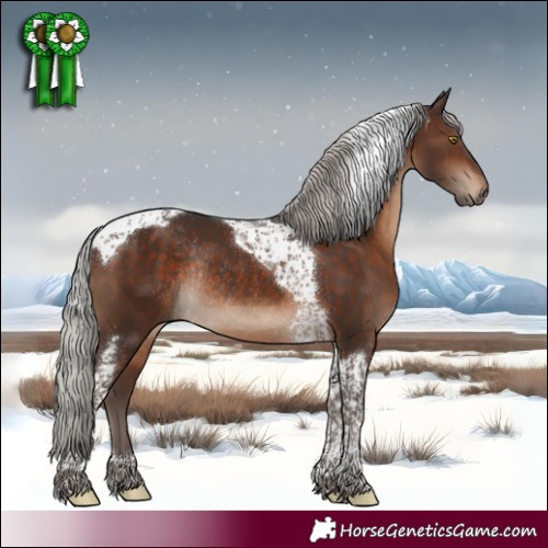 Horse Color:Silver Brown Tobiano Rabicano 