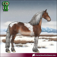 Horse Color:Silver Brown Tobiano Rabicano 