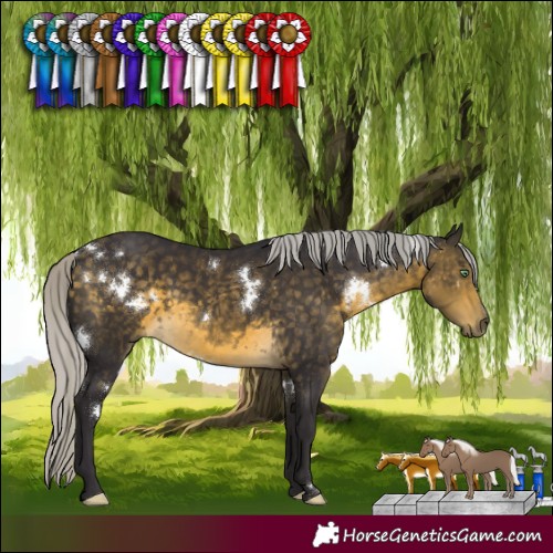 Horse Color:White Spotted Silver Buckskin Mushroom Rabicano 