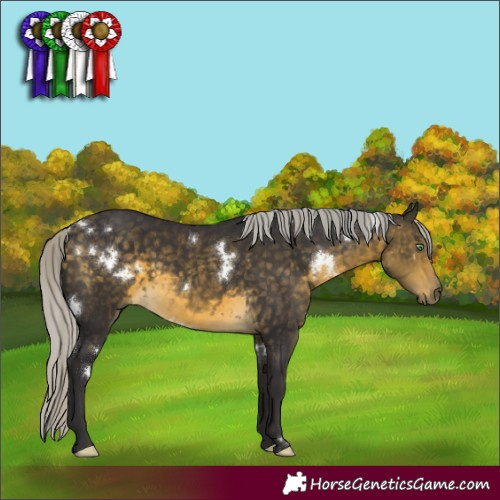 Horse Color:White Spotted Silver Buckskin Mushroom Rabicano 