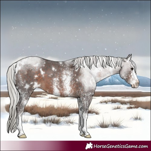 Horse Color:White Spotted Silver Brown 