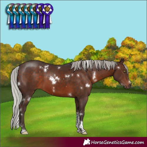 Horse Color:White Spotted Silver Brown Mushroom Tobiano Rabicano 