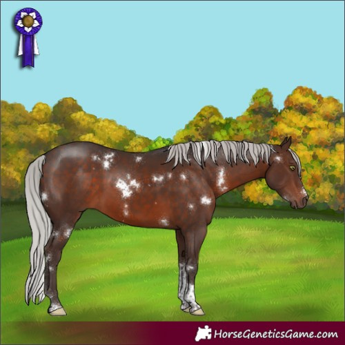 Horse Color:White Spotted Silver Brown Mushroom Tobiano Rabicano 