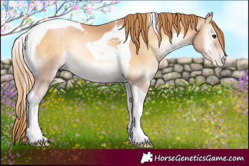 Horse Color:Red Onyx Pearl Tobiano 