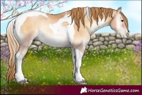 Horse Color:Red Onyx Pearl Tobiano 