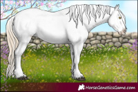 Horse Color:Chocolate Palomino Mushroom Fewspot 