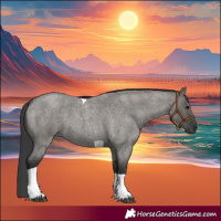 Horse Color:Grullo Roan Tobiano