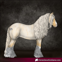 Horse Color:Palomino Roan Splash 