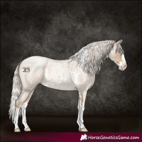 Horse Color:White Spotted Chocolate Palomino Roan Pearl Splash 