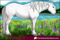 Horse Color:Gray Blue Onyx Pearl Tobiano Appaloosa 