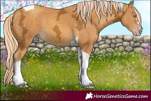 Horse Color:Gold Cream Champagne Ice Tobiano 