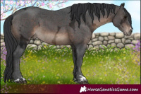 Horse Color:Brown Ice 