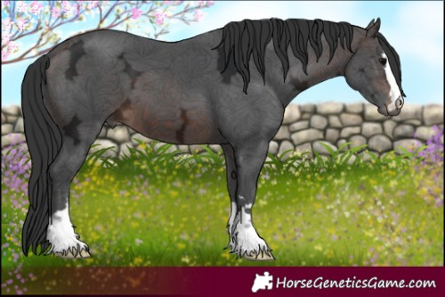 Horse Color:Brown Ice 