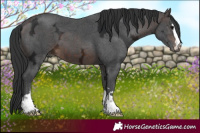 Horse Color:Brown Ice 
